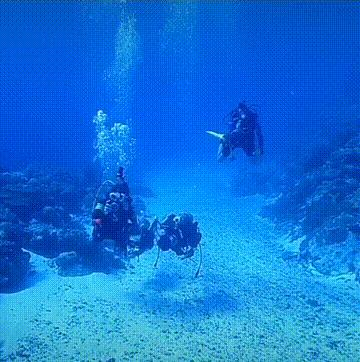 潜水圣地推荐帕劳,帕劳潜水旅游攻略