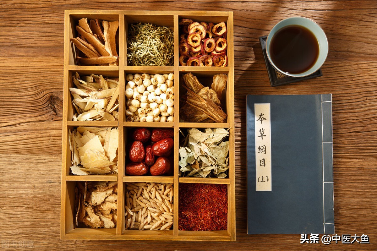 中药学常用补气药速记,张廷模讲补气药