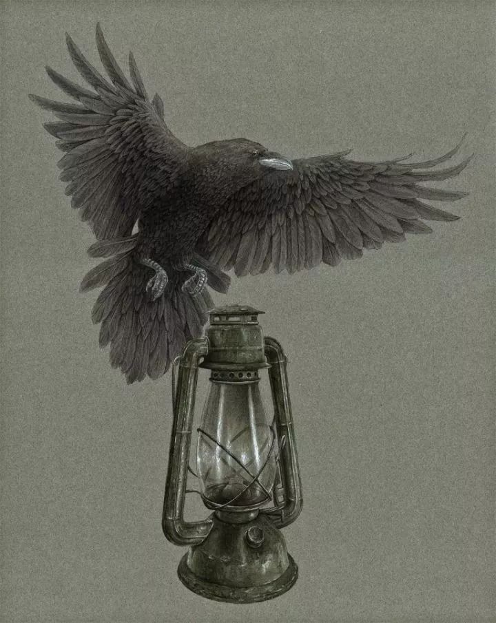 超好看的素描静物,超级惊艳的素描画