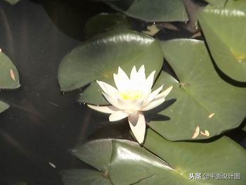 索尼dvd805e摄像机,索尼rx550e摄像机