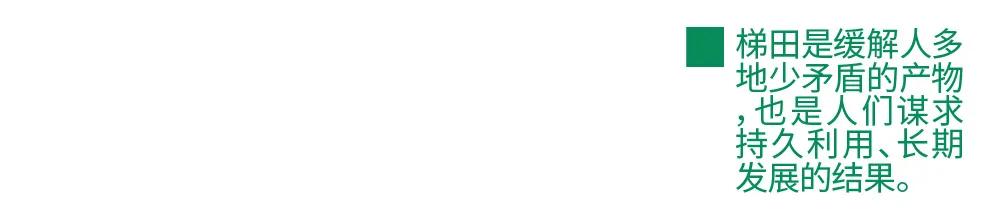 农造田野丨总有一根神经通往乡野|月亮山百里梯田