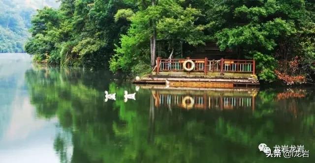 龙岩清凉避暑好去处,龙岩拍照有氛围感的地方