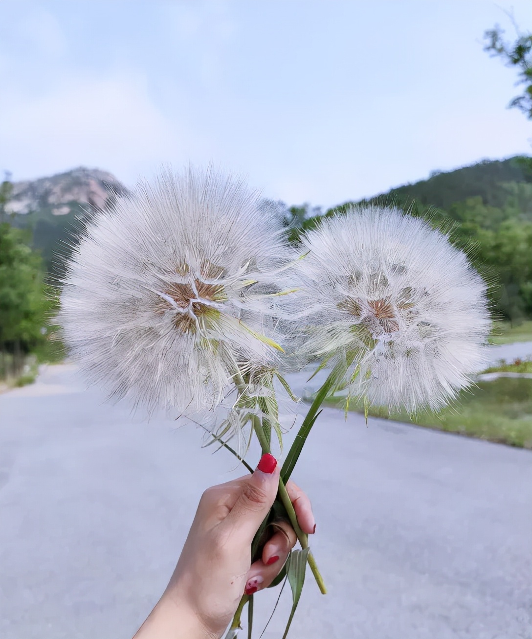 绝绝子！蓬莱的秋天也太鲜美了吧~