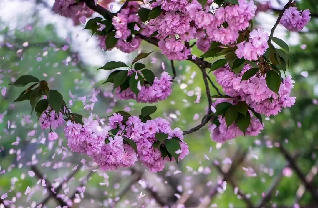 春天登山正确打开方式！这些藏在深处的秘境、美宿、茗茶在等着你！