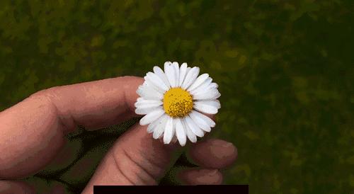 如果自己的孩子无法治愈该怎么办,医生诊断没有办法治愈的孩子