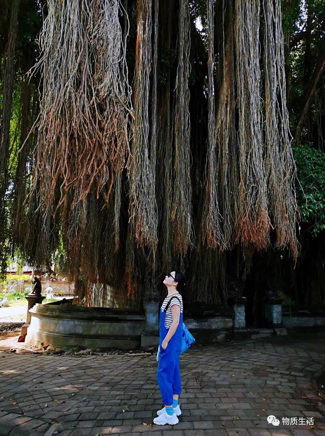 巴厘岛四季如夏吗,阳光明媚的巴厘岛