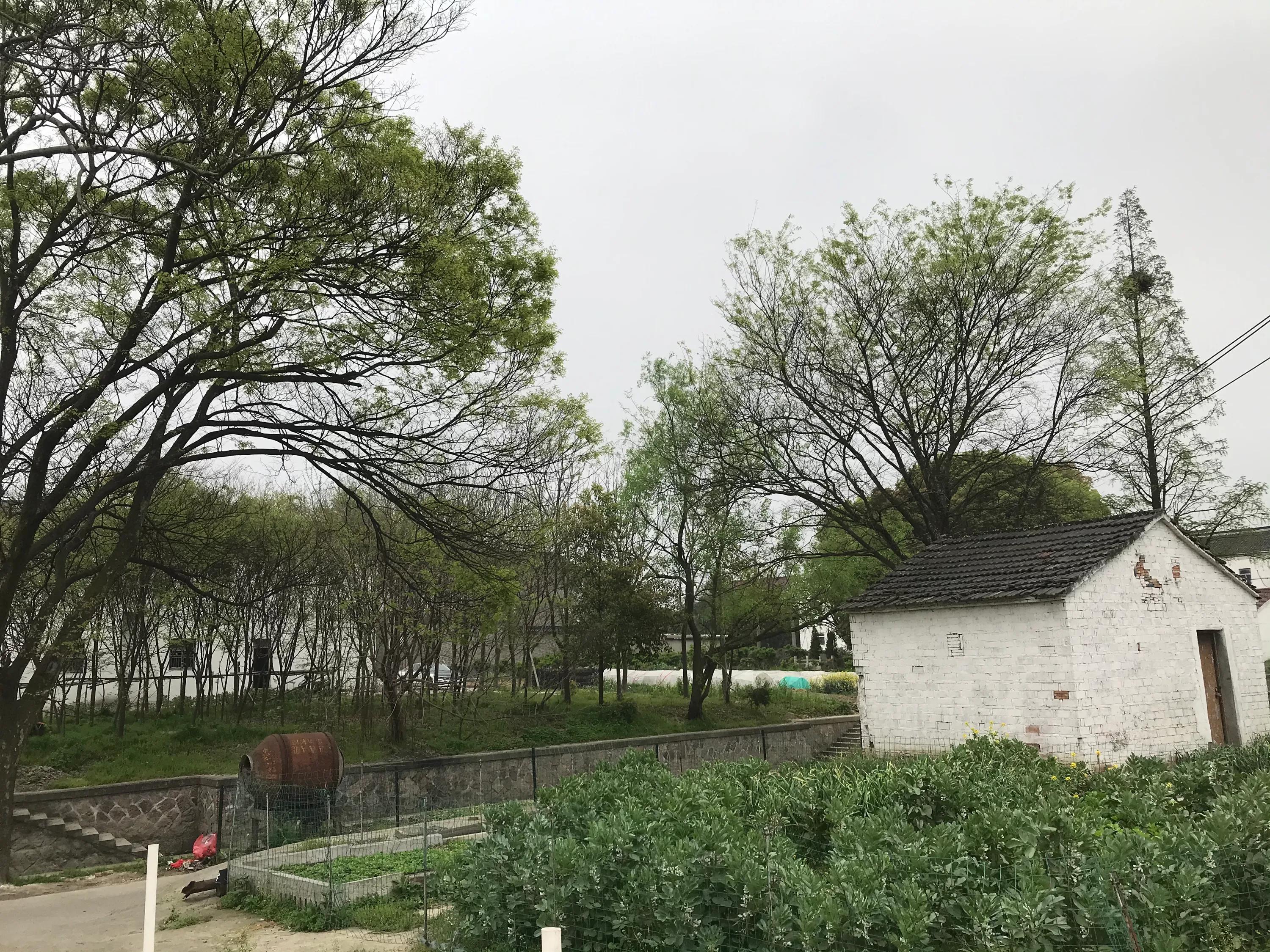 苏州吴江震泽八都,吴江区震泽八都贯桥社区