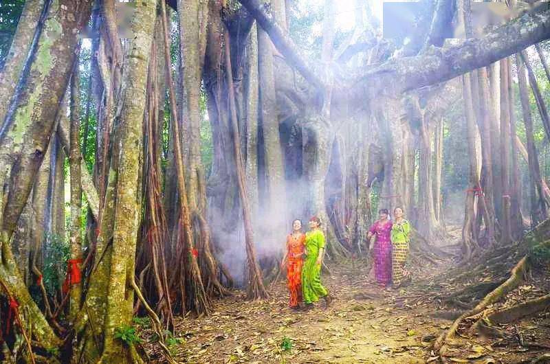 云南瑞丽腾冲离缅甸有多远,瑞丽与腾冲地理位置