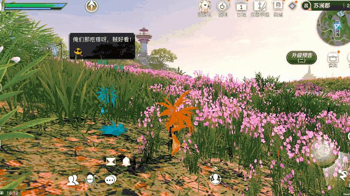 天谕官网手游攻略,天谕手游官网攻略