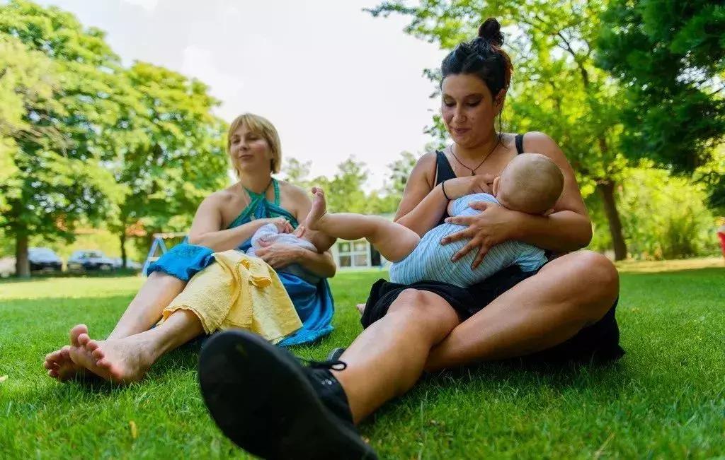 被吹上天的燕窝，根本没啥用