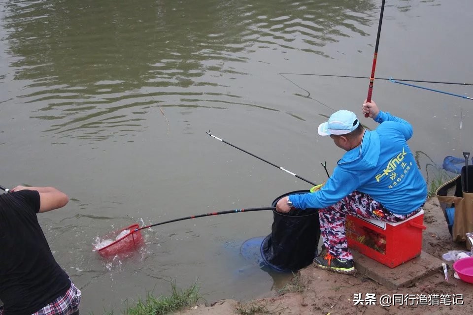 黑坑撒化肥,大多数钓友抱憾而归,唯独他狠狠给老板上了一课