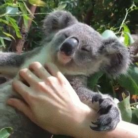 墨尔本蝉联宜居城市,全球宜居城市墨尔本