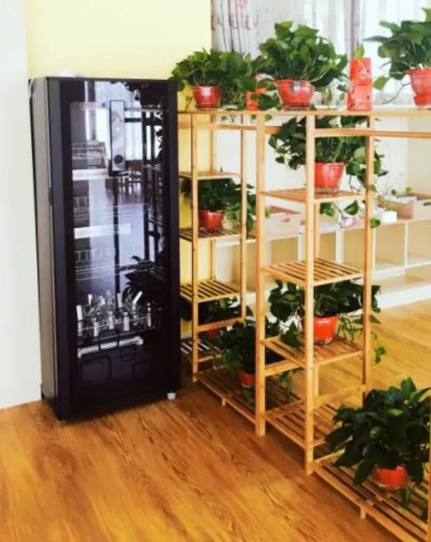 郑州朗信幼儿园和艾瑞德,欧吉瑞幼儿园郑州