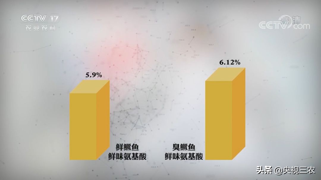 又臭又贵的臭鳜鱼,臭鳜鱼和桂鱼哪个贵呢