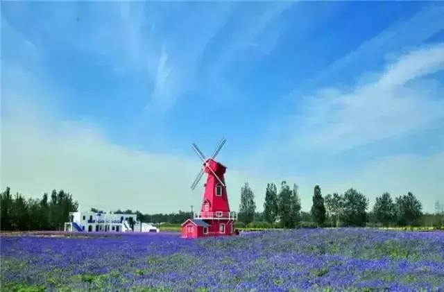 我叫石家庄，这是我2019年最新简历，请多关照！