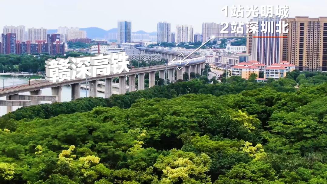 为什么建议你买房,为什么今年都劝买房