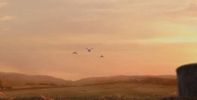 世界大战中的信鸽传奇：以吾一“鸽”之力挽救无数生命