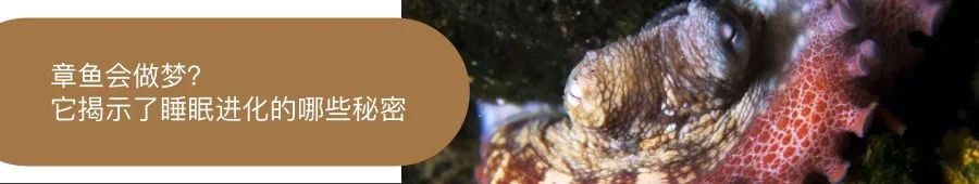 229元起苹果airtag追踪器正式发布,苹果蓝牙追踪器或命名为airtag