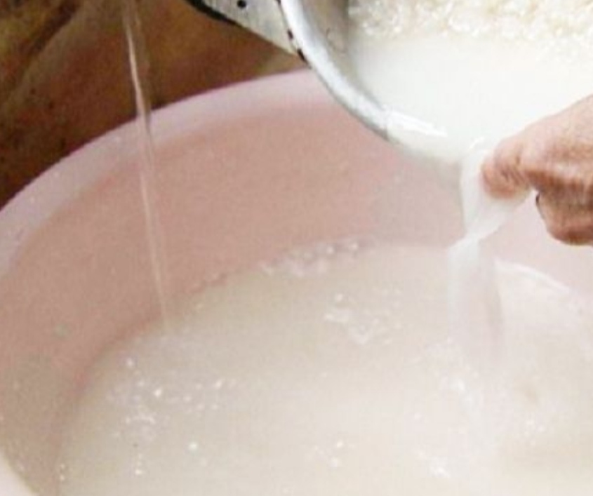 家里养花养鱼有什么好处,养花浇淘米水好吗