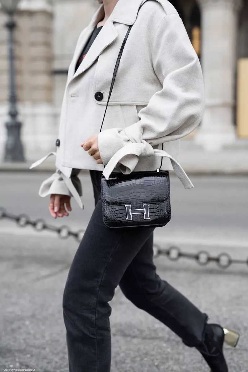 袁咏仪的包包张智霖,袁咏仪和张智霖包包