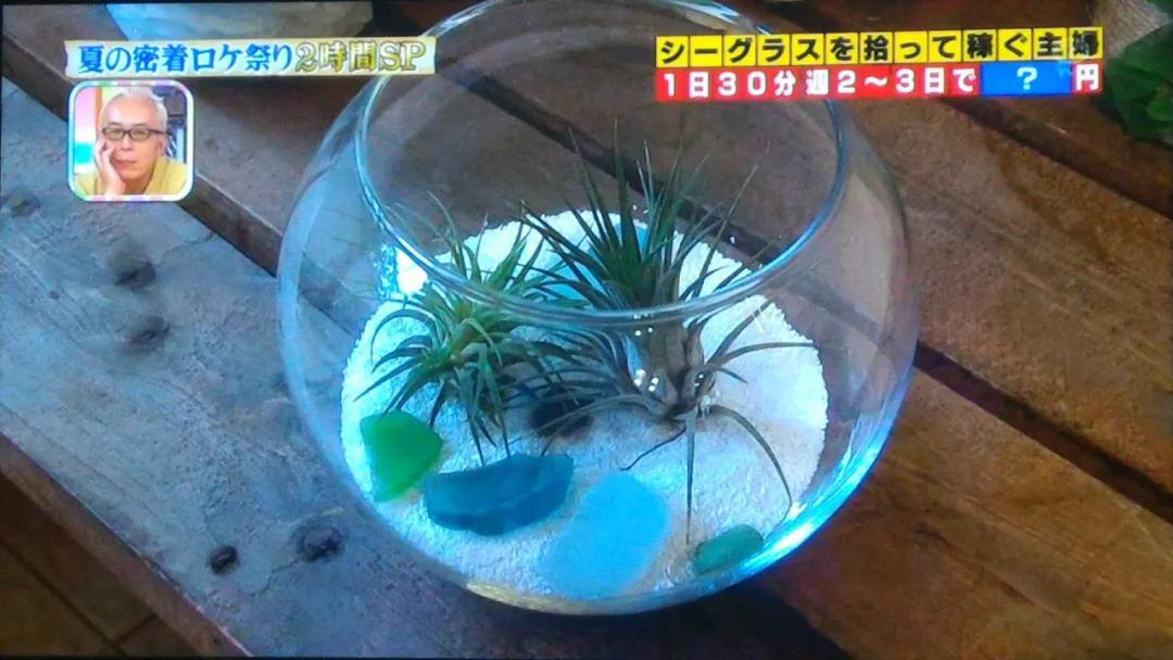 日本捡垃圾致富,日本主妇省钱过日子的经验