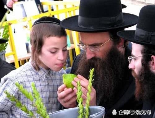 犹太人的暴利思维视频,犹太人的赚钱智慧解读