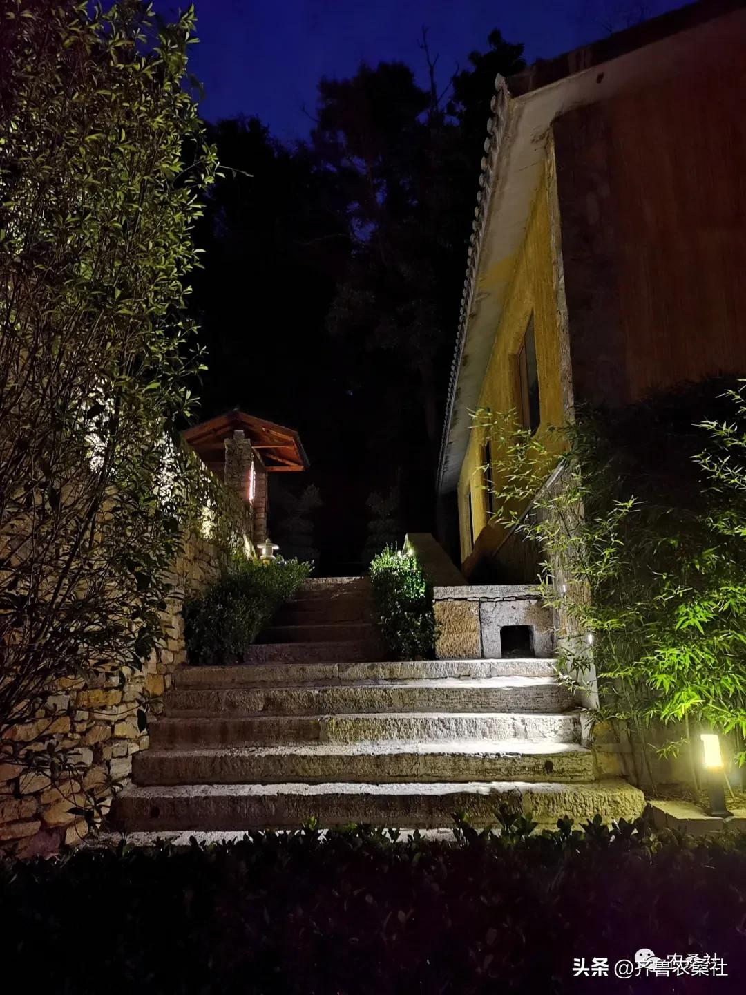 青州民宿桐峪里价格,青州桐峪里民宿有树屋吗