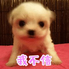 新女友才被马蓉骂成馊包子,王宝强就夜里零丁去前妻家接儿子了？