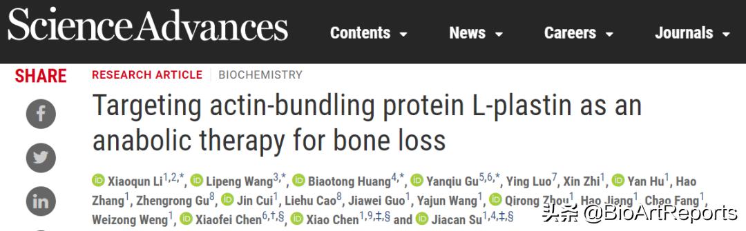 海军军医大学发现治疗骨质疏松和骨折的新靶点