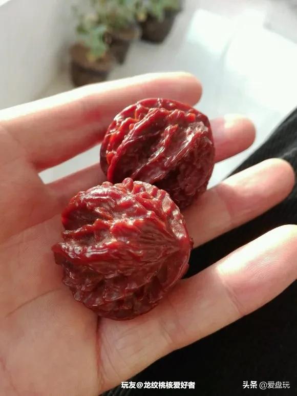 它是核桃圈的“虐手扛把子”，敢上手盘的，都是铁汉子