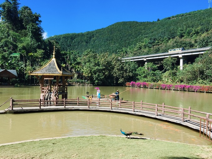 南宁至西双版纳旅游吃住行攻略,云南西双版纳旅游景点攻略自由行