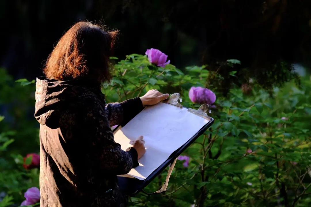 四月发生的事,东城发生的事