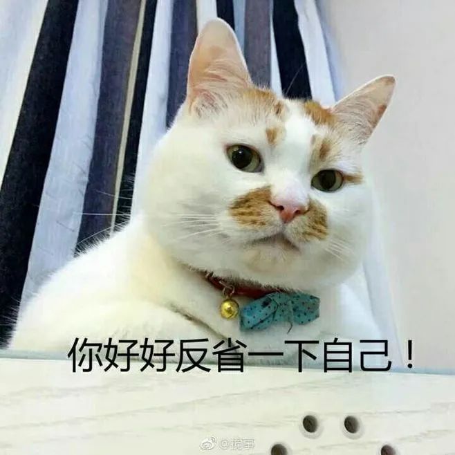 猫咪不习惯吃的表现,猫咪不为人知的用途