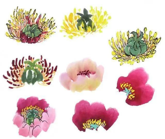 学习写意牡丹画的方法,学习写意牡丹画的步骤