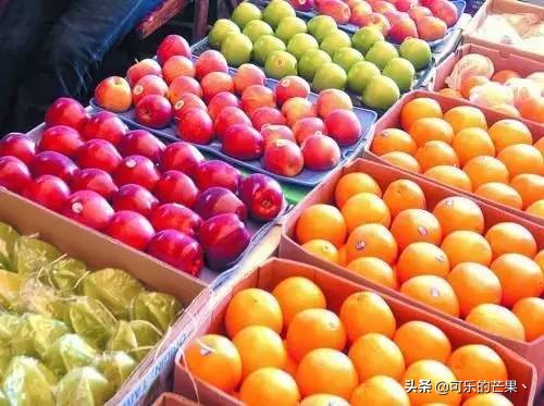 现在进石家庄批发市场要什么 (石家庄各个批发市场在哪)