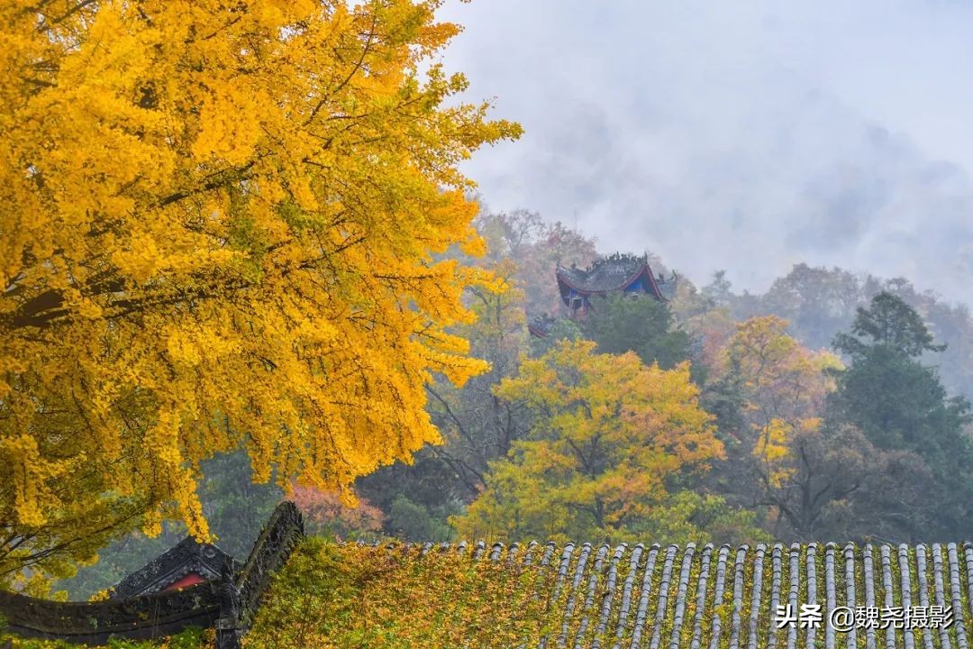 留坝秦岭之夜,留坝秦岭森林公园