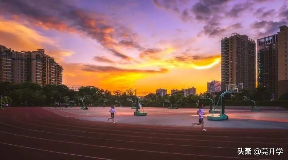 东莞南城初中,东莞南城公办初中摇号在哪进行