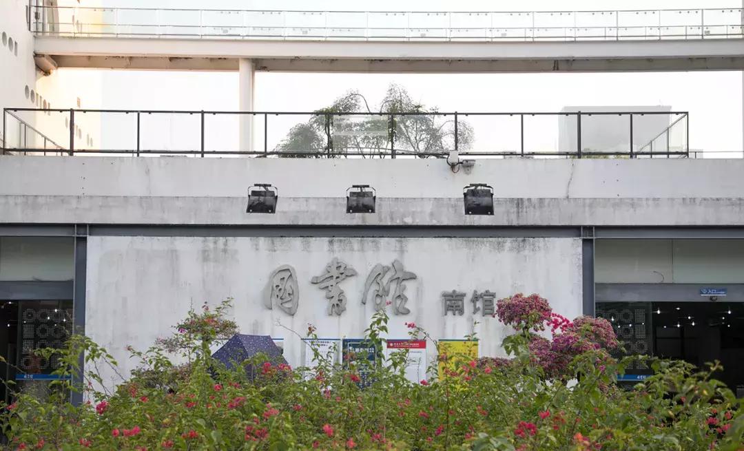 深圳大学游玩攻略一日游,深圳大学打卡攻略