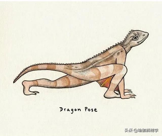 100张户外瑜伽唯美图片,各种动物瑜伽姿势图片