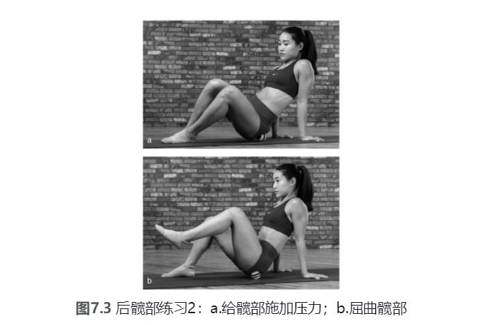 泡沫轴筋膜放松髋部,髋部灵活性泡沫轴