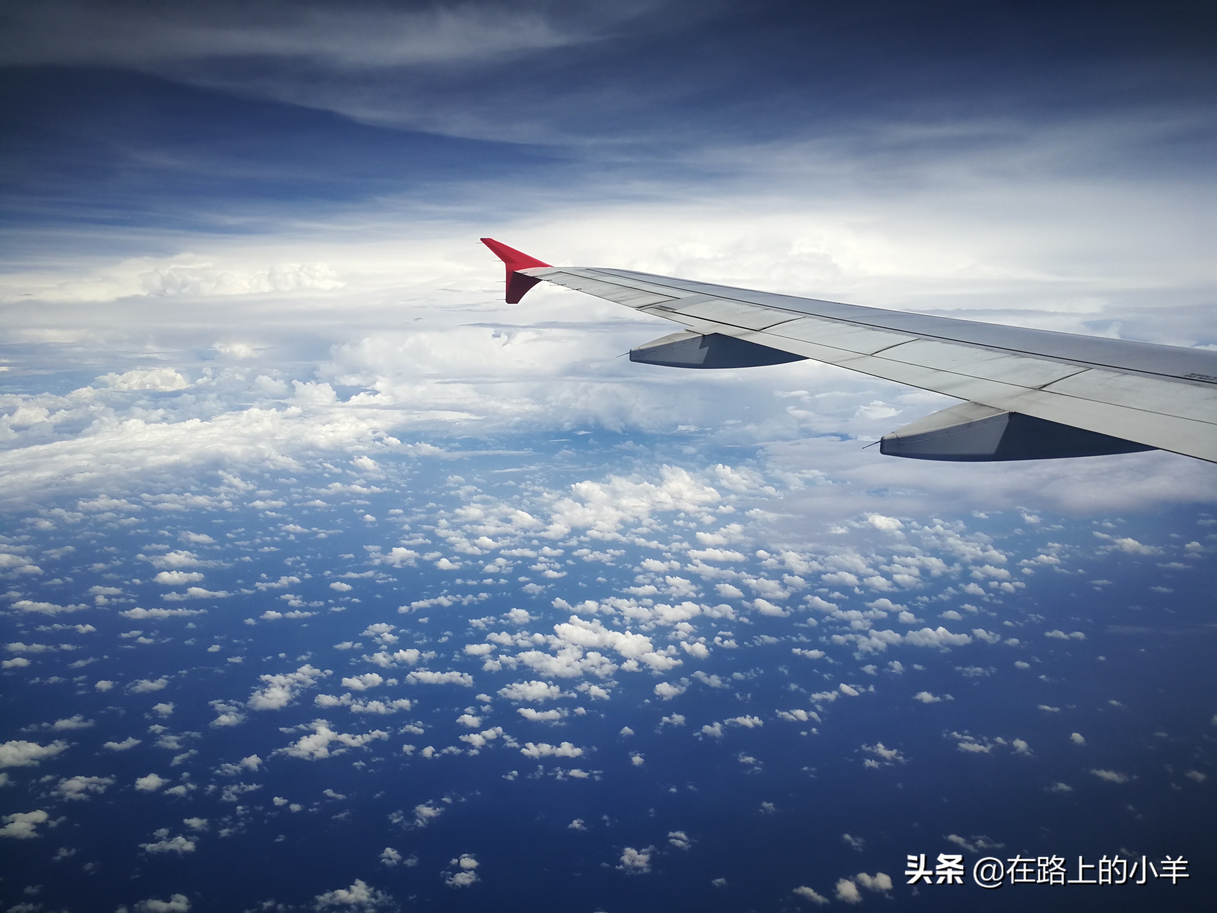 最喜欢中国旅游的老外,中国游客最喜欢去的国家人数排名