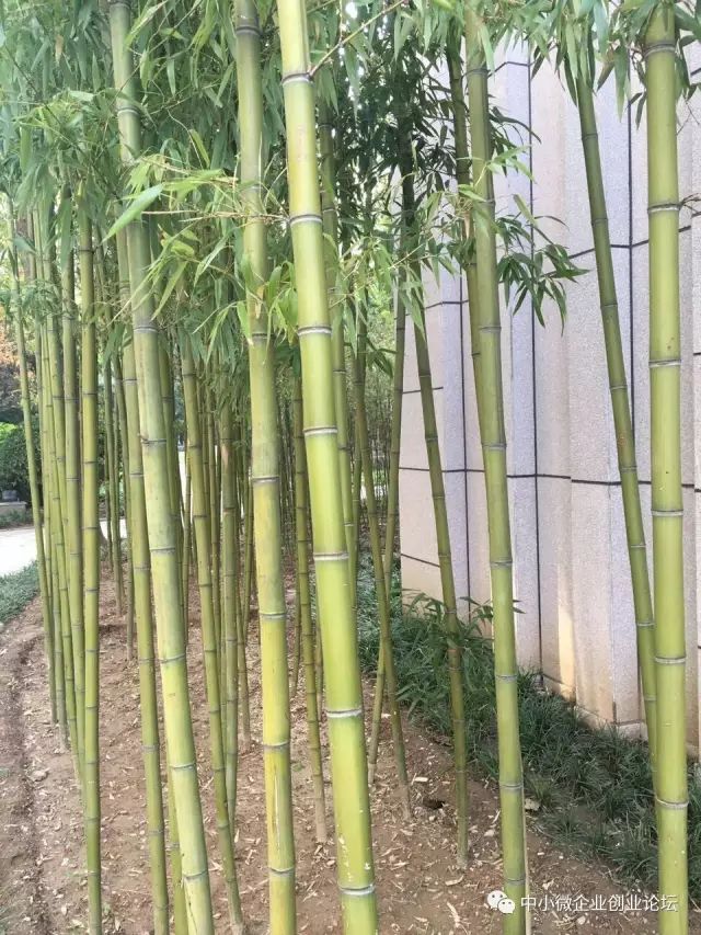 人不能太贪凡事也别太过,人不能太贪太作