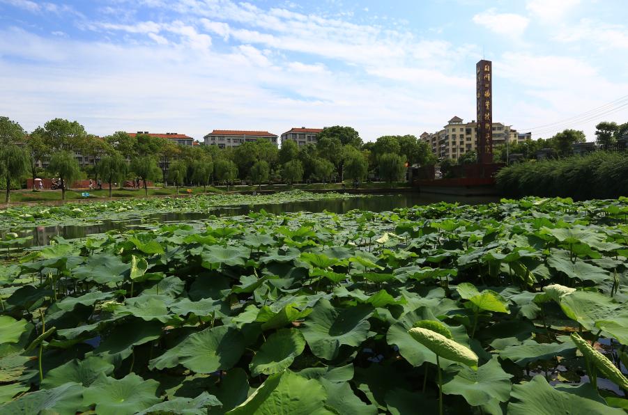 孝感专科,湖北孝感公办二本大学排名