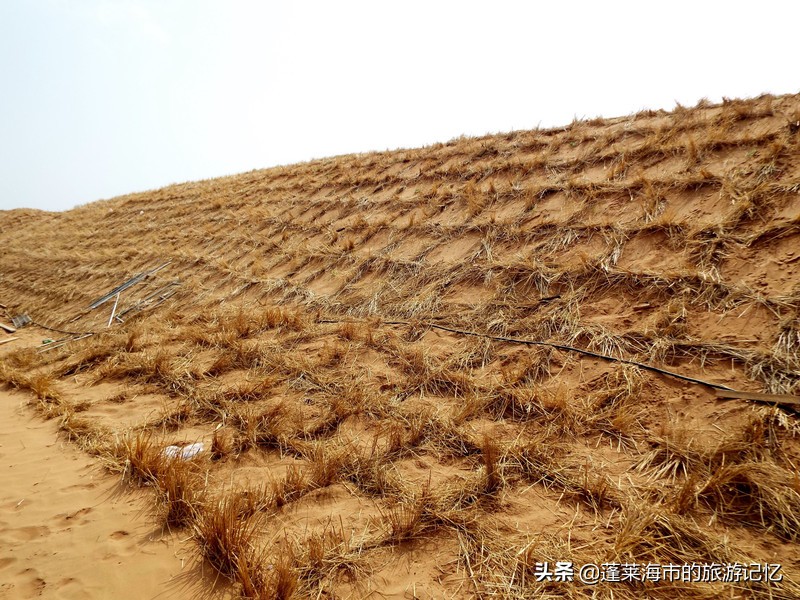 宁夏沙坡头游记,畅游宁夏