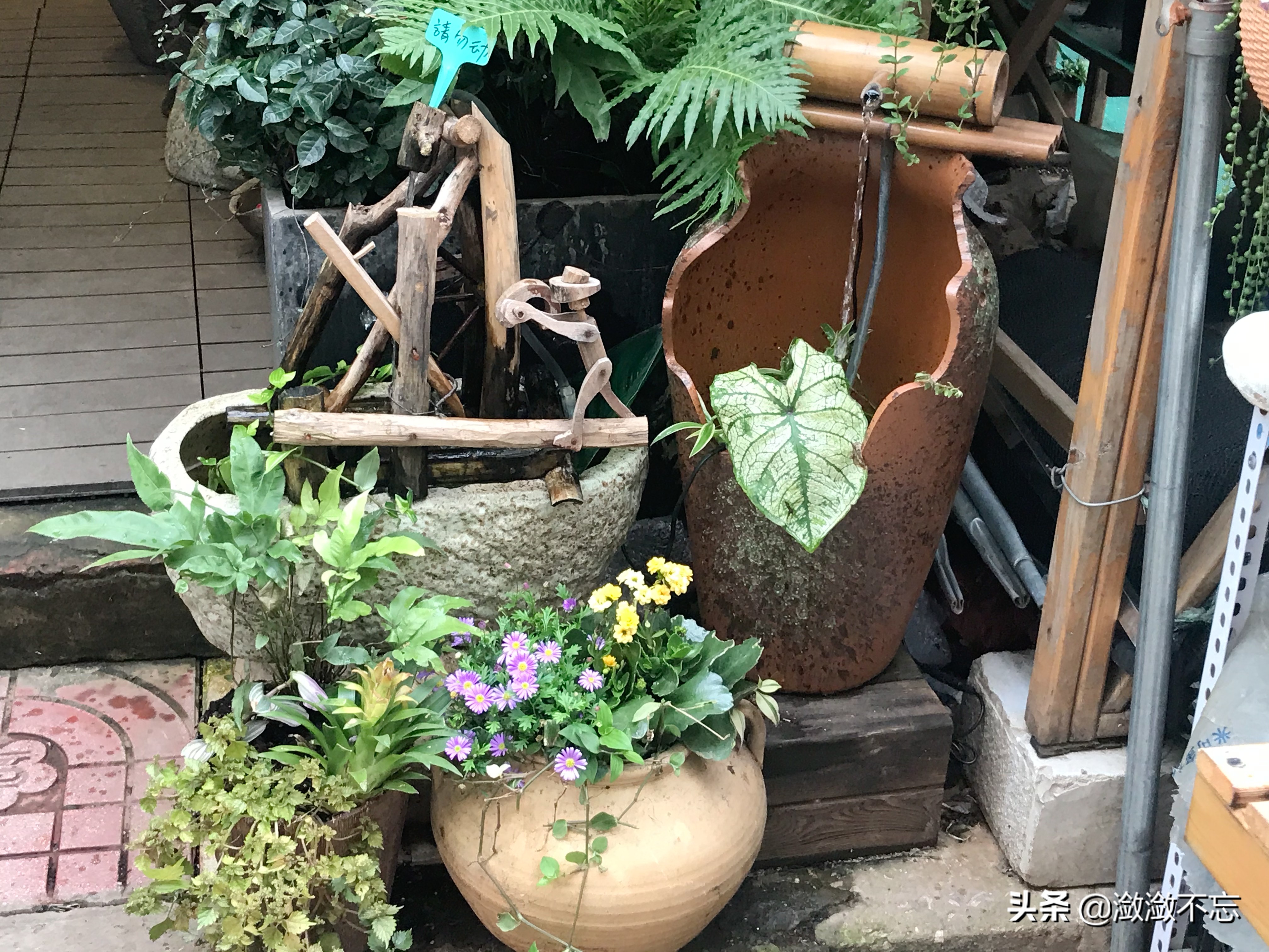 昆明哪里买花便宜又好,昆明斗南花卉市场怎么买花