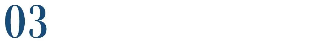 关于宠物店的选品和陈列,低端宠物店选品