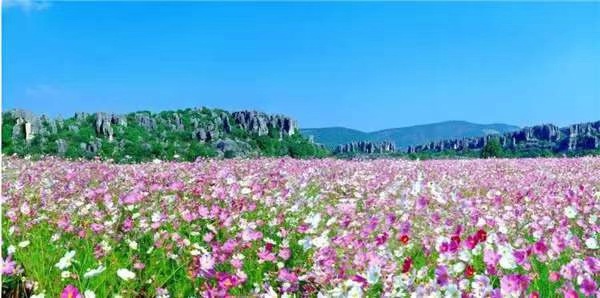 国庆游玩攻略昆明旅游线路图,去昆明国庆旅游攻略路线