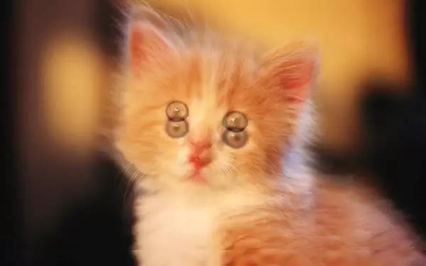 为什么很多近视的人都有散光,为什么有人近视散光