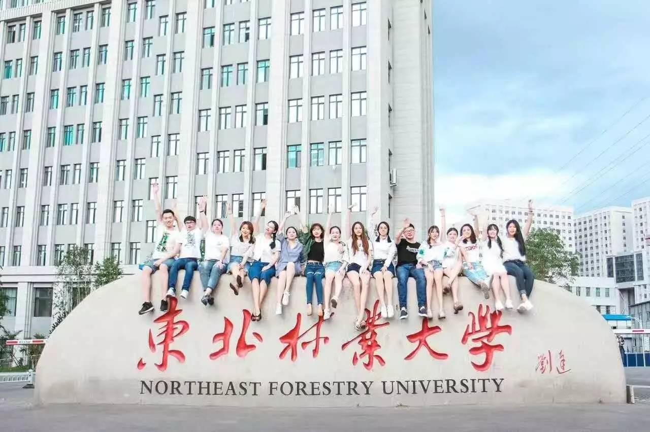 北京林业大学和南京林业大学,北京林业大学西南林业大学