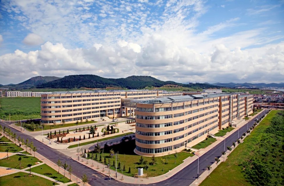 向往的大外|带你一起看大外